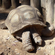 Morelia - Mexique, Zoo de Morelia