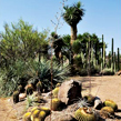 San Miguel de Allende, Jardín Botánico Cante y aguas termales